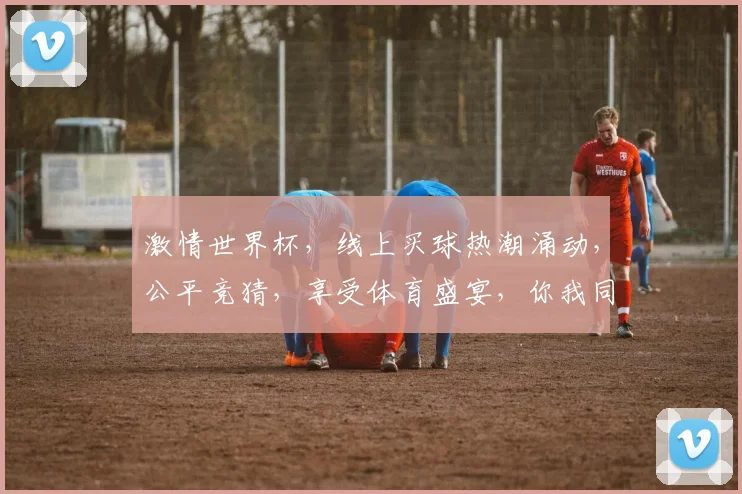 激情世界杯，线上买球热潮涌动，公平竞猜，享受体育盛宴，你我同行