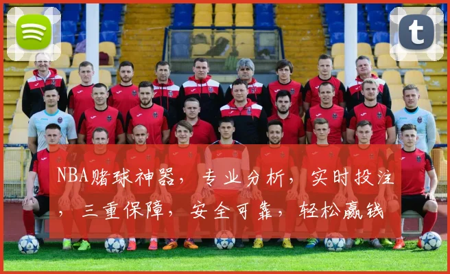 NBA赌球神器，专业分析，实时投注，三重保障，安全可靠，轻松赢钱，必看攻略