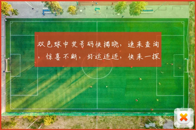 双色球中奖号码快揭晓，速来查询，惊喜不断，好运连连，快来一探究竟