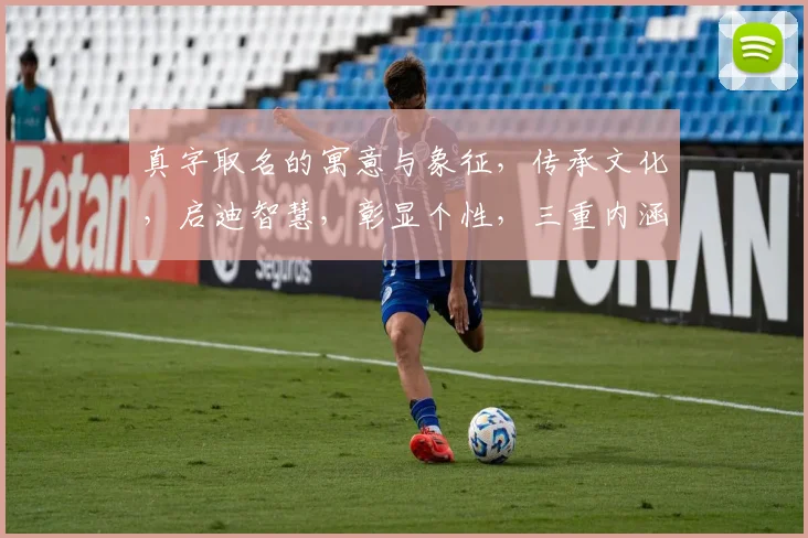 真字取名的寓意与象征，传承文化，启迪智慧，彰显个性，三重内涵，引人深思。