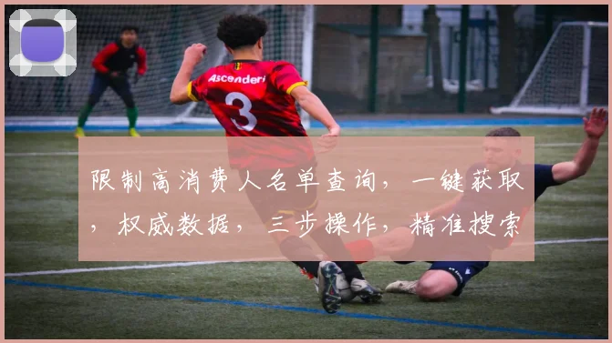 限制高消费人名单查询，一键获取，权威数据，三步操作，精准搜索，高效便捷服务。
